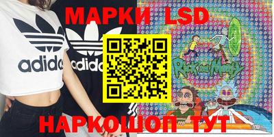 spice Кунгур
