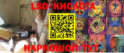 spice Кунгур